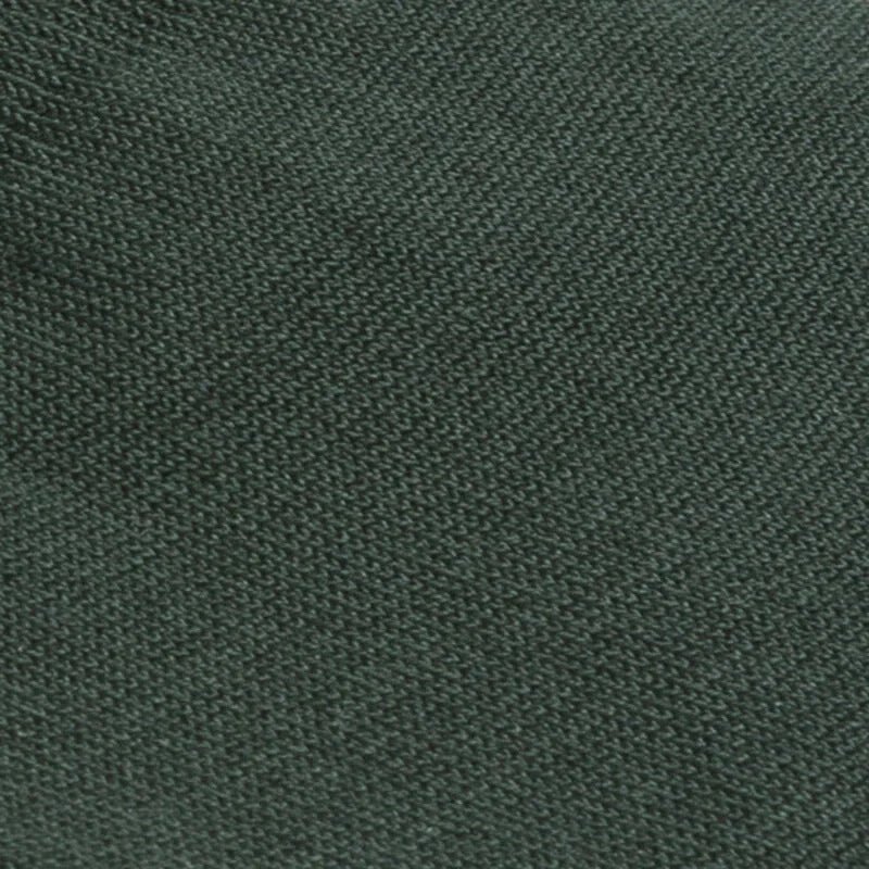Carlo Lanza flessengroene sokken-80% Egyptisch katoen | 16% Polyamide | 4% Elasthan-HEREN ONDER- EN BADMODE-Groen
