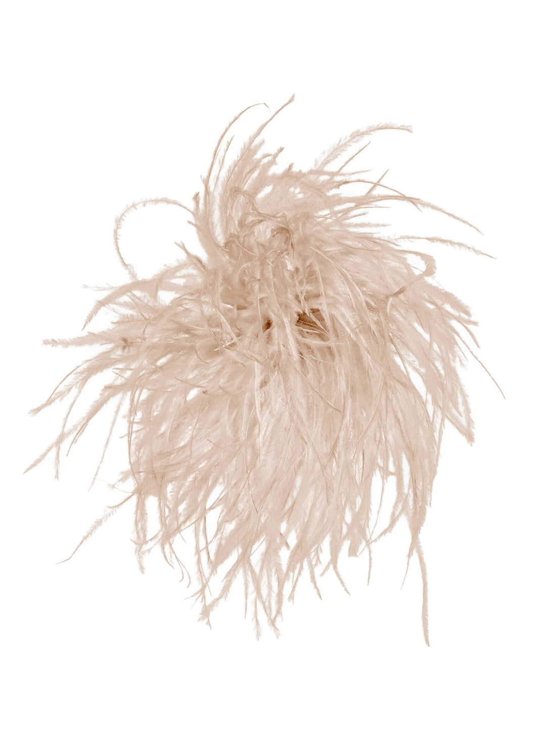 Luisa Cerano – Bruin Accessoire -100% struisvogelveer-DAMES ACCESSOIRES-Bruin