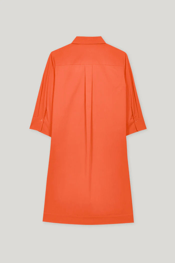 Luisa Cerano Gabardine blousejurk-95% Katoen<br />5% Elastaan-DAMES JURKEN-Rood