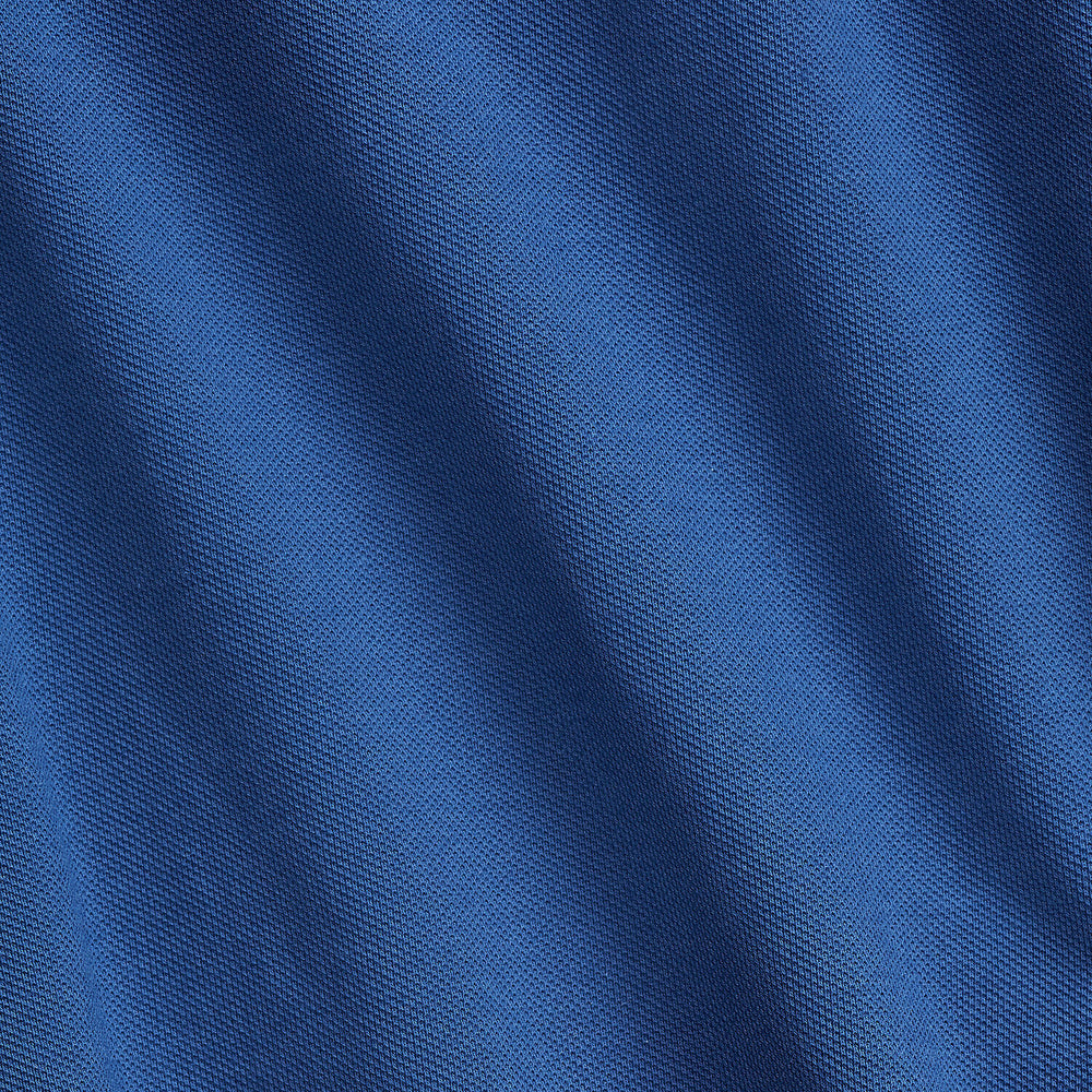 POLO Ralph Lauren Long Sleeve shirt-100% Katoen-HEREN SHIRTS-Blauw