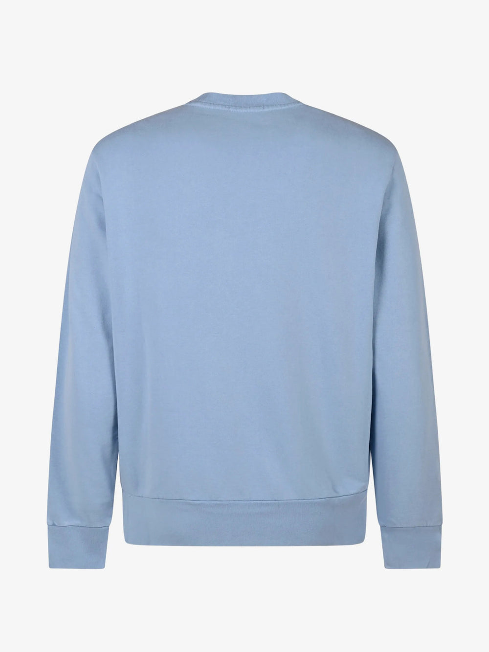 POLO Ralph Lauren Loopback Fleece Sweater – Blauw-80% katoen, 20% gereclycled katoen-HEREN TRUIEN & VESTEN-Blauw