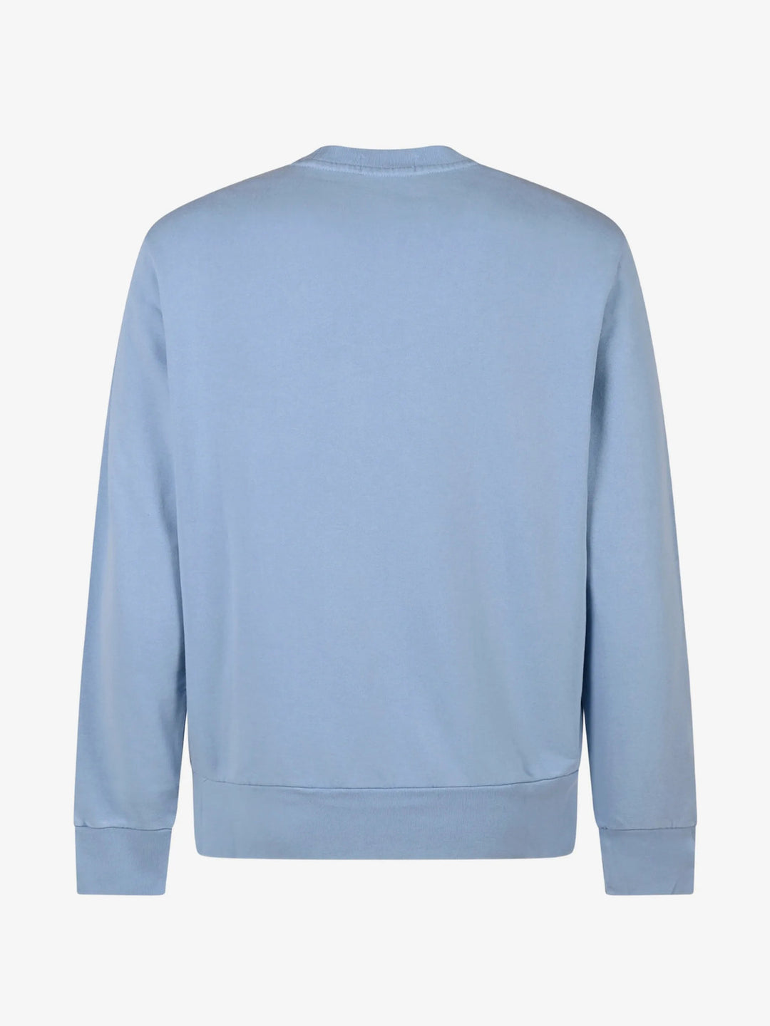 POLO Ralph Lauren Loopback Fleece Sweater – Blauw-80% katoen, 20% gereclycled katoen-HEREN TRUIEN & VESTEN-Blauw