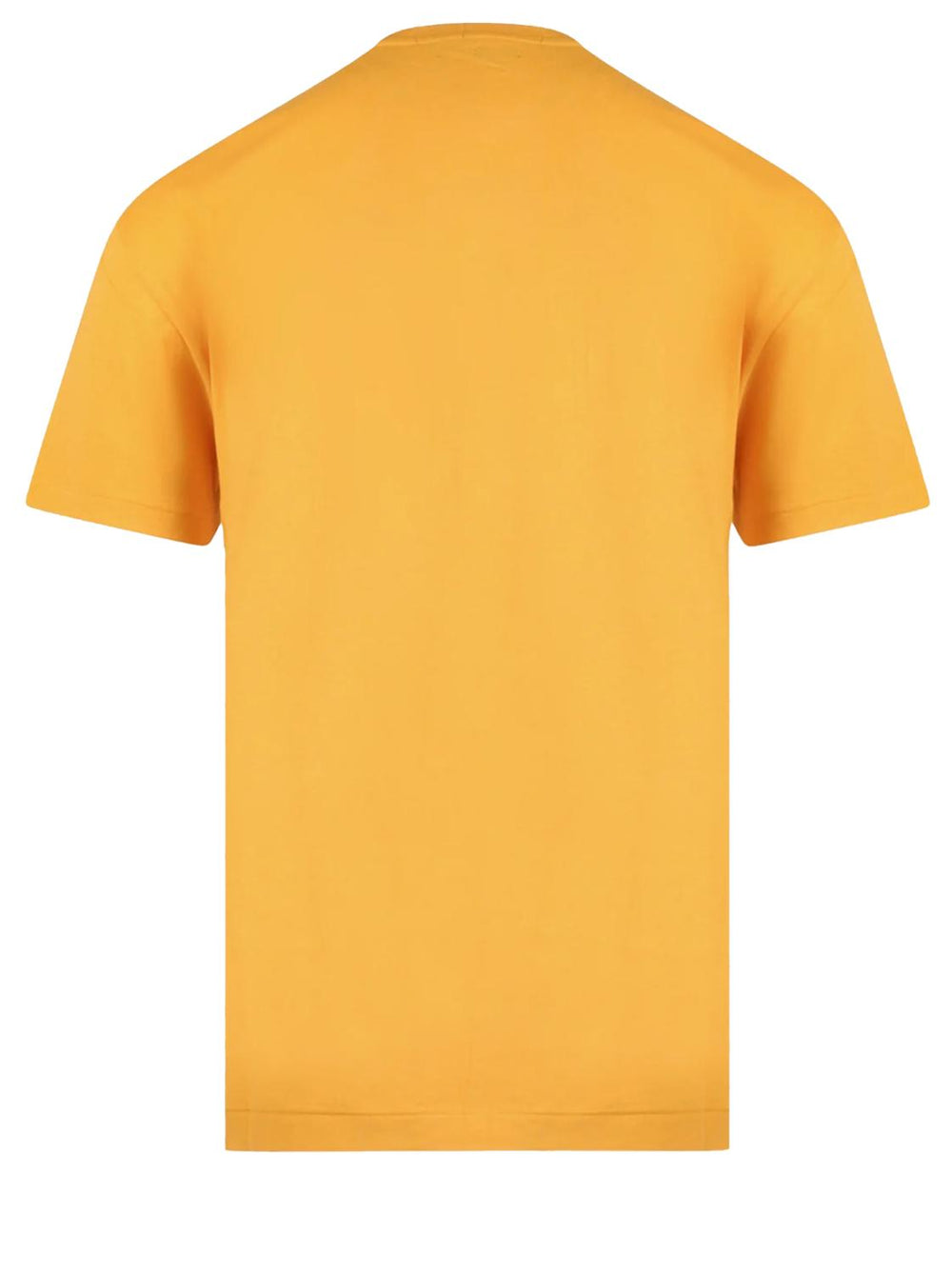 POLO Ralph Lauren t-shirt geel-100% katoen-HEREN POLO'S & T-SHIRTS-Geel